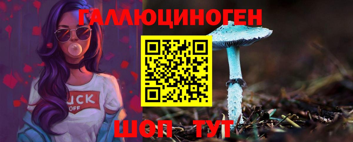 Лабинск  Галлюциногенные грибы Psilocybe  магазин продажи   Вход с VPN  Псилоцибиновые грибы Psilocybine cubensis 